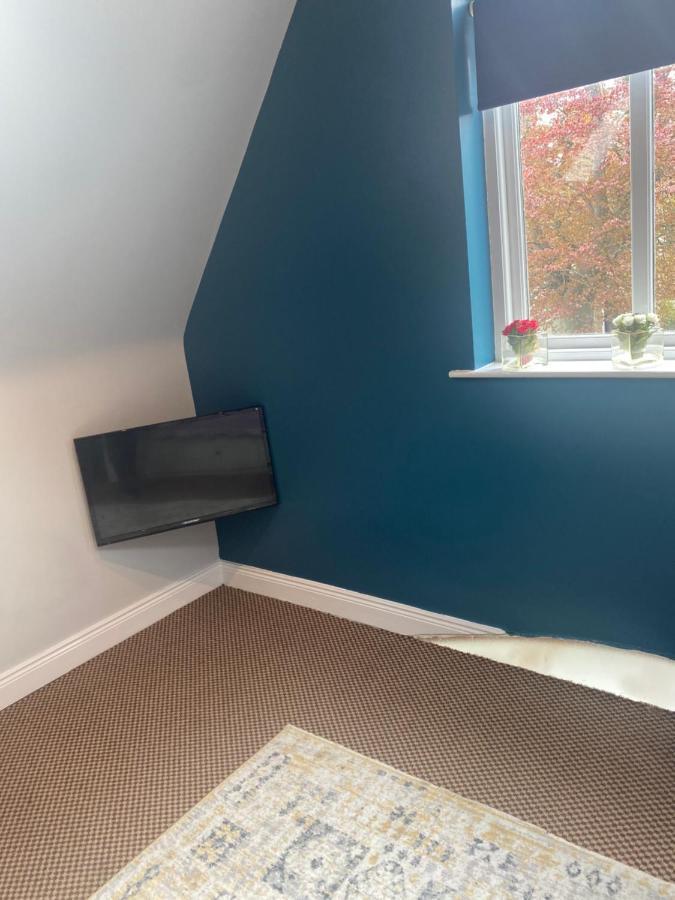 The Willows Lovely Double Apartment Rostrevor Eksteriør billede